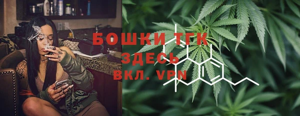 твердый Краснослободск