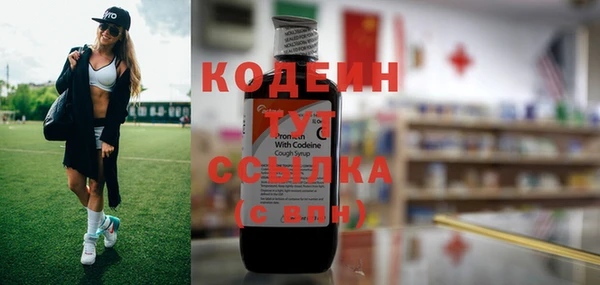 твердый Краснослободск