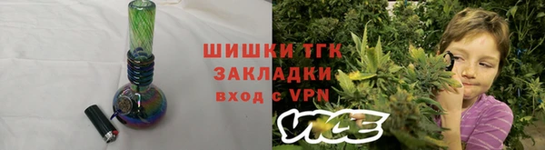 индика Красноперекопск